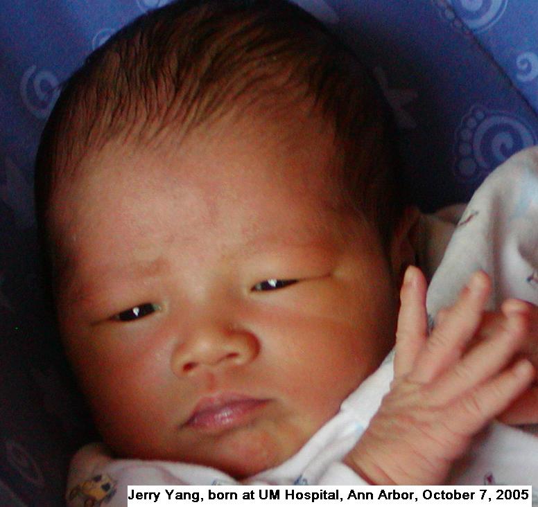 -- Jerry - 7 Days --