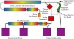 Rare Isotope Accelerator Conceptual Design