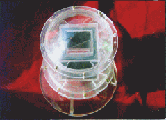 ams_nasa2.gif (19785 bytes)